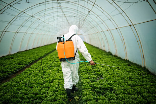 Best Pest Control Near Me  in Preakness, NJ